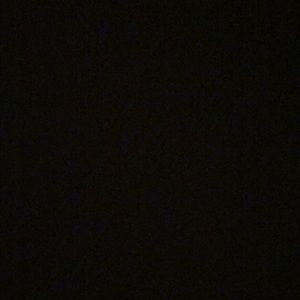 Meet your Posher, Sophie